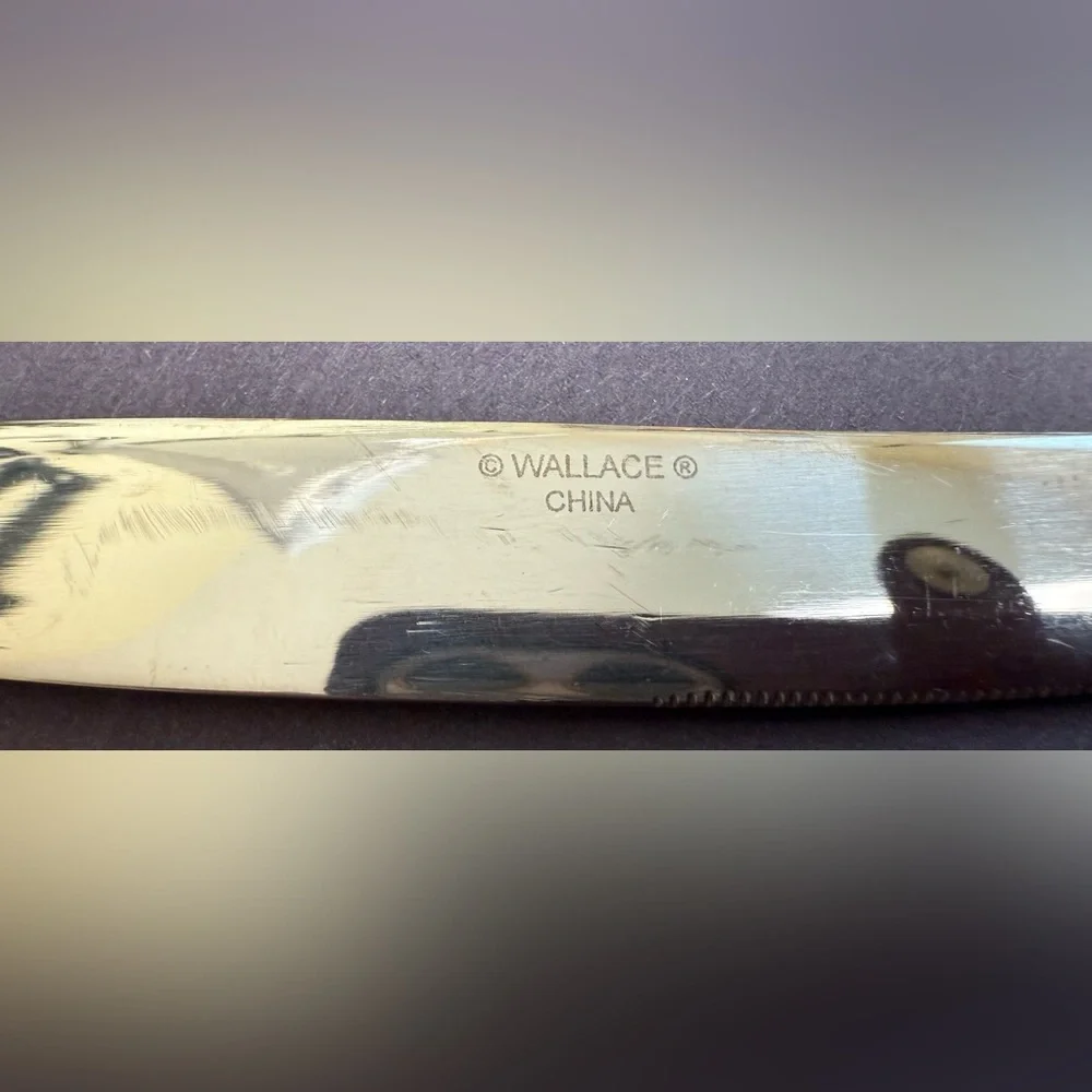 WALLACE SILVER Whitman Stainless Set of 10 Modern Knives Flatware‎ Silverware